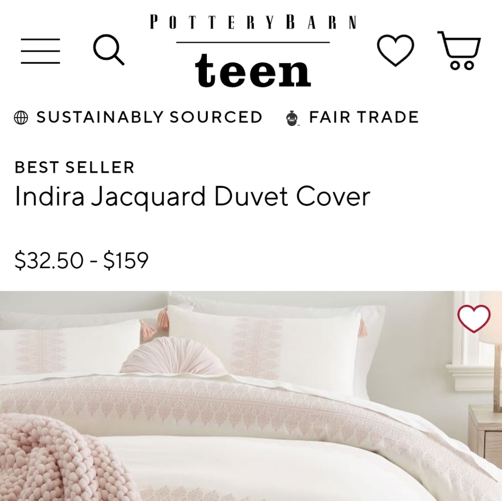 Pottery Barn Teen Twin/XL Twin Duvet and Pillow Sham Excellent Condition